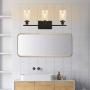 Vanity Light Fixtures ,3-Lights Farmhouse Wall Lighting Indoor Light Fixture, Modern Industrial Wall Sconce with Clear Glass Shade and Metal Base for Bedroom Living Room
