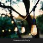 Brightech Ambience Pro - Outdoor Edison String Lights - Dimmable Vintage Filament Bulbs Create Old Time Bistro Ambience On Your Patio - Commercial Grade Weatherproof - 48 Ft Market Lights