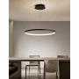 LightInTheBox Acrylic Chandelier Modern 80cm LED Ring Pendant Light with Oval 1 Ring Max 40W Chrome Ceiling Light Fixture For Study Room Office Dining Room Living Room (Black)