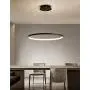 LightInTheBox Acrylic Chandelier Modern 80cm LED Ring Pendant Light with Oval 1 Ring Max 40W Chrome Ceiling Light Fixture For Study Room Office Dining Room Living Room (Black)
