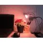 14W LED Grow Light, New Dual Head Desk Clip Lamp Warm White Light with Swivel 360 Degree Adjustable Gooseneck and One Switch, Warmwhite Comfortable Light for Indoor Plants at Home and Office