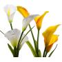 Marcoah Upgraded Solar Flower Lights - Outdoor Waterproof LED Flowers for Garden, Path, Landscape, Patio, and Lawn (Calla Lily, Yellow and White) - 2 Pack