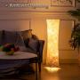Floor Lamp, CHIPHY Dimmable Standing Lamp, 3 Levels Adjustable Brightness 12W/2 LED Bulbs(2400 Lumens, 100 Watt Equivalent) and Brown Fabric Shade, Modern for Bedroom and Kids Room