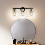 Hamilyeah Bathroom Vanity Light Fixtures Over Mirror, 3 Lights Modern Vanity Lighting with Black Brass Finish, Farmhouse Industrial Gold Lamp with Clear Glass Shade for Bedroom Living Room Fireplace