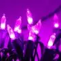 Joiedomi Purple LED Green Wire 100-count Christmas Light, Purple LED Lights for Indoor/Outdoor Christmas Decorations