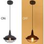 Heircido 2 Pack Industrial Cage Pendant Light Vintage Farmhouse Hanging Light Fixtures for Kitchen Dining Room, Restaurant, Hallway,Entryway, Matte Black Heircido 2 Pack Industrial Cage Pendant Light Vintage Farmhouse Hanging Light Fixtures for Kitchen Dining Room, Restaurant, Hallway,Entryway, Matte Black