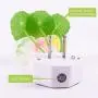 [2 Pack] LED Night Light Plug in with Dusk to Dawn Sensor, Plug in Wall LED Mushroom Nightlight Lamp for Kids Adults, Bedroom, Bathroom, Kitchen, Hallway, Stairs, Cute Color Changing