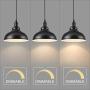 HMVPL Industrial Barn Pendant Light with Plug in Cord and On/Off Dimmer Switch, Metal Hanging Ceiling Lamp for Kitchen Island, Dining Room, Bedroom or Barn