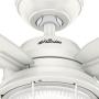 Hunter Ocala Indoor / Outdoor Ceiling Fan with LED Light and Pull Chain Control