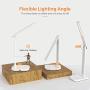 LITOM LED Desk Lamp, Eye-Caring Office Table Lamps with Night Light, 10 Brightness, 5 Color Temperature, USB Charging Port, 1H Timer, Touch Control, Memory Function for Reading, Work, Study (White)