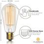 Vintage Incandescent Edison Light Bulbs: 60 Watt, 2100K Warm White Lightbulbs - E26 Base - 230 Lumens - Clear Glass - Dimmable Antique Filament ST64 Light Bulb Set - 4 Pack