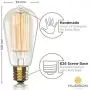 Vintage Incandescent Edison Light Bulbs: 60 Watt, 2100K Warm White Lightbulbs - E26 Base - 230 Lumens - Clear Glass - Dimmable Antique Filament ST64 Light Bulb Set - 4 Pack