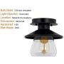 Industrial Ceiling Light Fixture with Clear Glass Shade 1-Light Industrial Bedroom Light Fixtures Matte Black Ceiling Light Finish for Dining Room Bedroom Cafe Bar Corridor Hallway Bulb Not Included