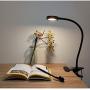 LEPOWER Clip on Light/Reading Light/Light Color Changeable/Night Light Clip on for Desk, Bed Headboard and Computers (Black)