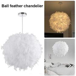 Ccoco Pendant Light Shade, Ceiling Lamp Shade Spherical Feather High Light Romantic Hanging Transparency Soft Lighting E27 Lamp Holder Ceiling Chandelier, for Bedroom Living Room Christmas