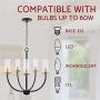 Kira Home Berlyn 22'' 5-Light Modern Chandelier + Clear Cylinder Glass Shades, Chain-Hung with Adjustable Height, Warm Brass Accents + Black Finish