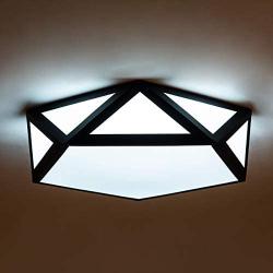 Modern Flush Mount Ceiling Lighting Fixture,24W 6500K Cool White LED Classic Black Metal Art Geometric Shape Ceiling Lamp for Living Room Kitchen Dining Room Study Mall