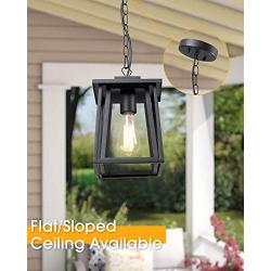 Jazava Outdoor Pendant Light One-Light Hanging Lantern, Exterior Hanging Lights for Porch, Matte Black Finish with Highlights and Clear Glass for House Entryway