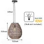 Hanging Lights Pendant Lighting Ceiling Light Fixture for Farmhouse Kitchen Island Living Room Restaurant