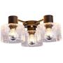 TeHenoo 3-Light Ceiling Light Fixture with 3 Seeded Glass Shade Flush Mount for Dining Room, Bedroom, Cafe, Bar, Corridor, Hallway, Entryway, Passway