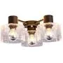TeHenoo 3-Light Ceiling Light Fixture with 3 Seeded Glass Shade Flush Mount for Dining Room, Bedroom, Cafe, Bar, Corridor, Hallway, Entryway, Passway