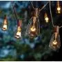 SkrLights Outdoor Patio String Lights,10Ft Edison Bulb String Lights for Patio Garden Porch Backyard Party Deck Yard(Plus 1 Extra Bulbs)-Brown
