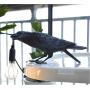 Crow Table Lamp,Bird Table Lamps Artificial Bird Shaped Table Lamp Bedroom Resin Crow Desk Lamp Bedside Light for Bedroom,Bedside,Living Room,Corridor (Black)