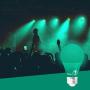Bioluz LED Green Light Bulbs 60W Replacement Non-Dimmable A19 LED Bulb 4-Pack