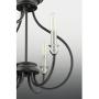 Progress Lighting P400030-143 Whisp Six-Light Chandelier, Graphite