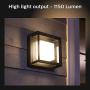 Philips Hue Econic Outdoor White & Color Wall & Ceiling Light Fixture (Hue Hub Required, Works with Alexa, Apple Homekit & Google Assistant)