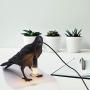 Crow Table Lamp, Birds LED Table Lamps Bedroom Resin Crow Desk Lamp Bedside Light Living Room Corridor Contemporary Romantic Modern Lamp Crow Table Lamp, Birds LED Table Lamps Bedroom Resin Crow Desk Lamp Bedside Light Living Room Corridor Contemporary Romantic Modern Lamp
