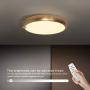 Dimmable Ceiling Light Fixture LED with Remote Control, 15 Inch Gold Ceiling Lights, 24W Modern Flush Mount Ceiling Light for Living Room Bedroom Ceiling Lamp for Island Dinning Room Office