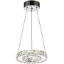 Arxeel Modern Crystal Chandelier, Contemporary Led Ceiling Lights Fixtures Pendant Lighting for Living Room Bedroom Restaurant Porch Dining Room (one Ring, Dia 7.87'')