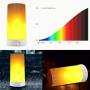 LED Flame Effect Light,4 Modes Fire Lights, USB Rechargable Candle Flame Table Lamp with Remote Contro& Timer Desk Lamp, Used in Living Room Bedroom Family Gathering bar Camping Party