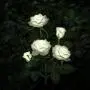 New Material Outdoor Realistic Solar Powered Rose Lights Flower Stake, for Garden Patio Yard Pathway Decoration, White
