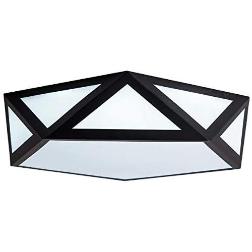 Modern Flush Mount Ceiling Lighting Fixture,24W 6500K Cool White LED Classic Black Metal Art Geometric Shape Ceiling Lamp for Living Room Kitchen Dining Room Study Mall