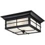 Westinghouse Lighting 6204800 Orwell 2 Light Outdoor Flush Mount Fixture, Textured Black