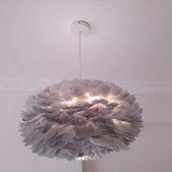 Feather Pendant Light Modern Romantic Gray Ceiling Pendant Lamp Living Room Dining Hall Lighting Fixture Best Gift for Children Friend Lover