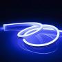 iNextStation Neon LED Strip Light 16.4ft/5m 12V DC 600 SMD2835 LEDs Waterproof Flexible LED NEON Light for Indoors Outdoors Decor [ Blue | No Power Adapter]