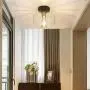 DLLT Farmhouse Semi Flush Mount Ceiling Light, Classic Glass Pendant Ceiling Light Fixture-Transparent Shade Lighting for Hallway, Entryway, Passway, Dining Room, Bedroom, Corridor, Foyer, E26 Base DLLT Farmhouse Semi Flush Mount Ceiling Light, Classic Glass Pendant Ceiling Light Fixture-Transparent Shade Lighting for Hallway, Entryway, Passway, Dining Room, Bedroom, Corridor, Foyer, E26 Base