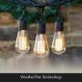 Brightech Ambience Pro - Outdoor Edison String Lights - Dimmable Vintage Filament Bulbs Create Old Time Bistro Ambience On Your Patio - Commercial Grade Weatherproof - 48 Ft Market Lights