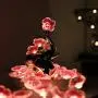 Flower String Lights for Kids Bedroom HuTools Pink Cherry Blossom String Lights 10Ft 30 LED Battery Powered String Lights for Nursery Baby Room Decor