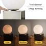 Nocolliny Modern Dimmable Touch LED Brass Table Lamp for Bedroom, Living Room