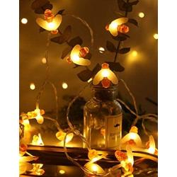 Honeybee Fairy String Lights, Merdeco Plug in String Lights 16ft 50 LED Warm White Lights for Party/Birthday/Wedding/Christmas Indoor Outdoor Decoration