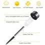 Solar Lights Outdoor, 12 Pack Solar Garden Lights, Stainless Steel Outdoor Solar Lights - Waterproof, Solar Powered Landscape Lighting for Pathway Walkway Driveway Yard & Lawn-Warm White Solar Lights Outdoor, 12 Pack Solar Garden Lights, Stainless Steel Outdoor Solar Lights - Waterproof, Solar Powered Landscape Lighting for Pathway Walkway Driveway Yard & Lawn-Warm White