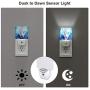 Set of 2 Led Night Lights, Blue Fire Rose Ice Wolf Auto Dusk-to-Dawn Sensor Night Lamp Plug-in Home Decorative for Adult