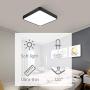 KDG Industrial Pendant Light Fixture 3-Light Chandeliers E12 Lamp Holder 15.7 Inch Ball Brown Hanging Light for Kitchen Living Room Dining Room Bedroom Balcony Farmhouse