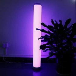 LED Floor Lamp Dimmable with Remote Control for Living Room, RGB Color Changing Floor Lamps for Bedrooms, 5 Watt, 54 CM/21.2Inch Height