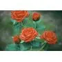 New Material Outdoor Realistic Solar Powered Rose Lights Flower Stake, for Garden Patio Yard Pathway Decoration, Orange