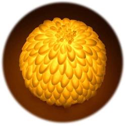 Dahlia Night Lights w Timer for Your Daughters, White Finish, Yellow Glow Lamp for Bedroom, Nightstand Shelf Decoration, Battery Operated